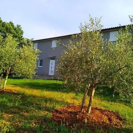 Divšići Apartments Valeria מראה חיצוני תמונה
