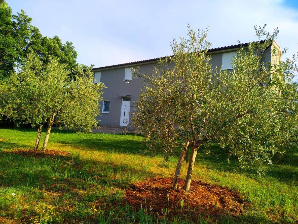 Divšići Apartments Valeria מראה חיצוני תמונה
